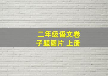 二年级语文卷子题图片 上册